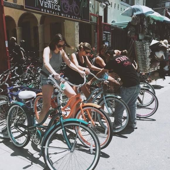 Meet your Posher, Hailey - Picture 1 of 1